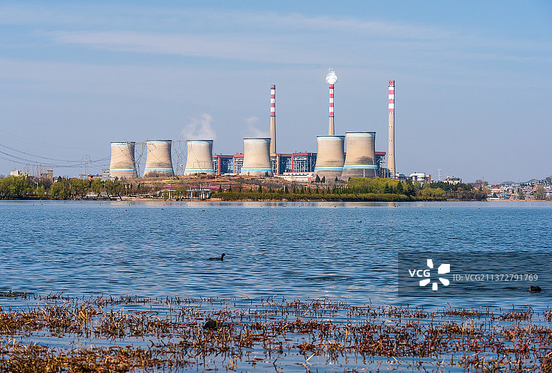 湿地与工业区同框照片图片素材