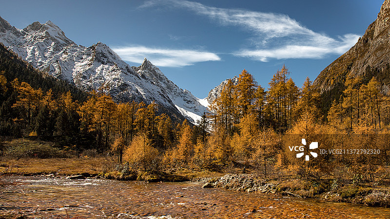 雪山松林图片素材