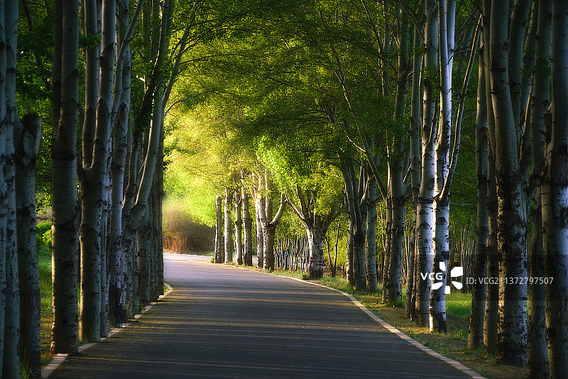 温暖的光+内蒙古包头市九原区赛汗塔拉生态园图片素材
