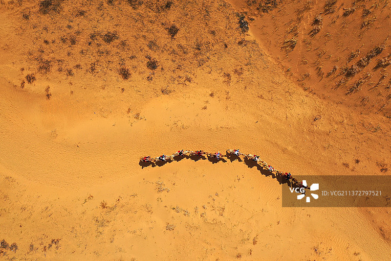 驼队+内蒙古鄂尔多斯市准格尔旗库布齐沙漠旅游景区图片素材