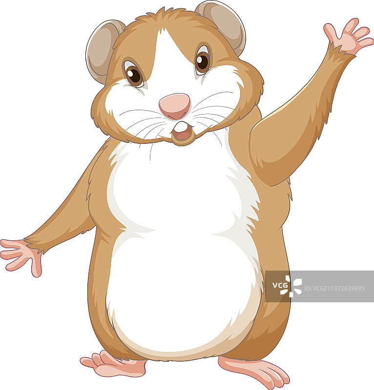 白色背景上的可爱豚鼠图片素材