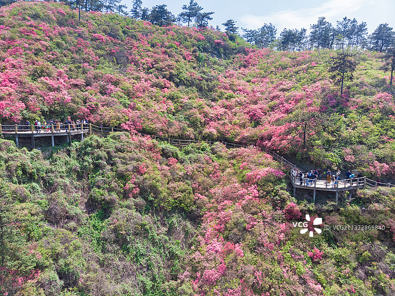 湖北武汉黄陂木兰云雾山春季风光图片素材