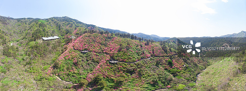 湖北武汉黄陂木兰云雾山春季风光图片素材