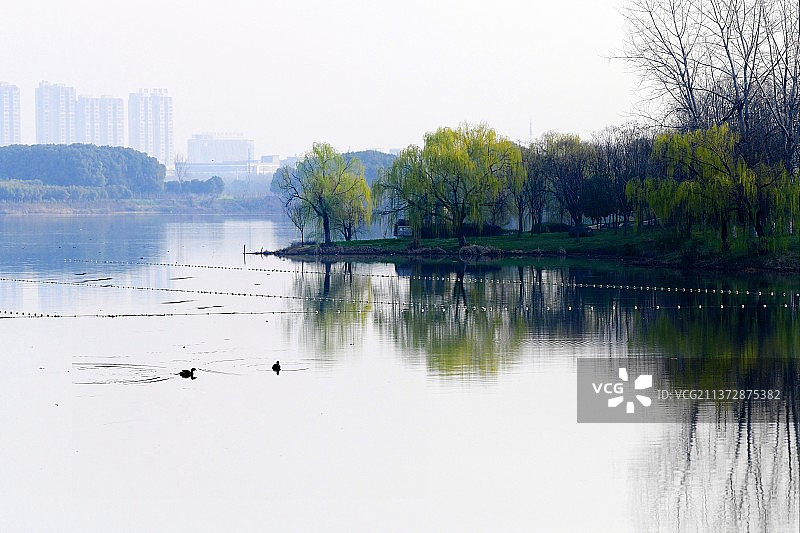 春风又绿江南岸图片素材