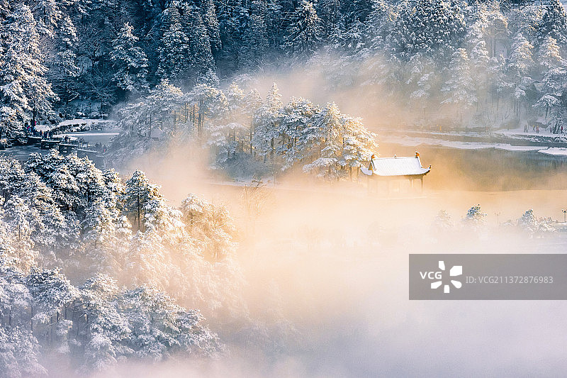 《雪中漫步如琴湖》图片素材