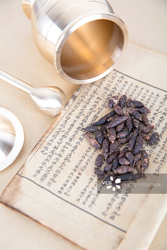 医书上的药材和旁边的药杵图片素材