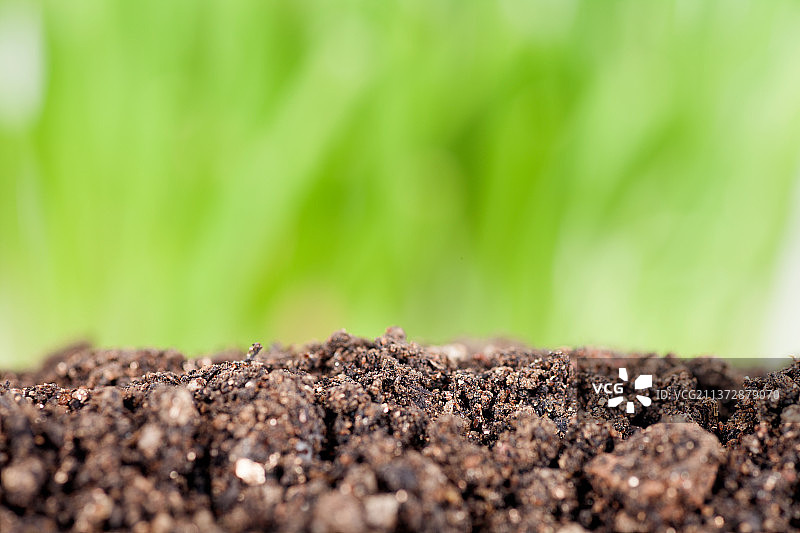 肥沃的土壤和绿背景图片素材