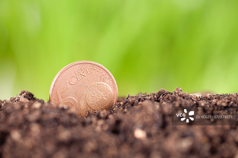 种植在肥沃土壤中的5分欧元硬币图片素材