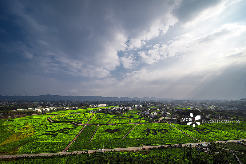 泸州泸县谭坝村油菜花图片素材