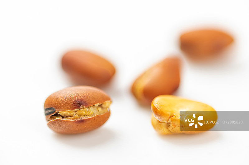 崩豆炒蚕豆特写白色背景图片素材