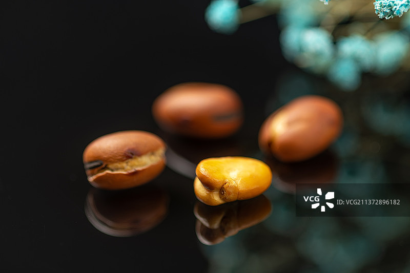 崩豆炒蚕豆特写黑色背景图片素材