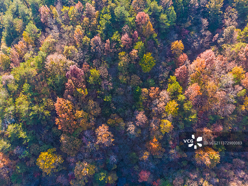 湖北武汉黄陂清凉寨风景区深秋风光图片素材