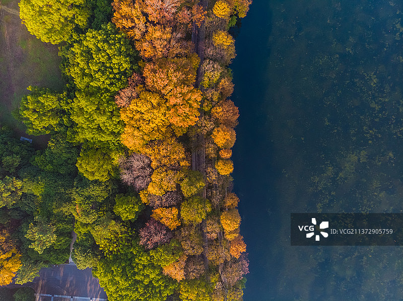 湖北武汉东湖风景区深秋风光图片素材