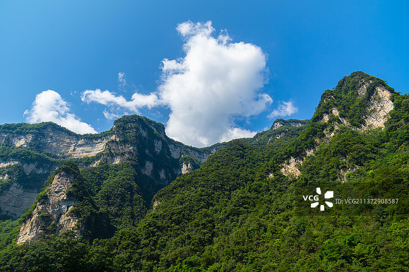 湖北宜昌三峡竹海夏日风光图片素材