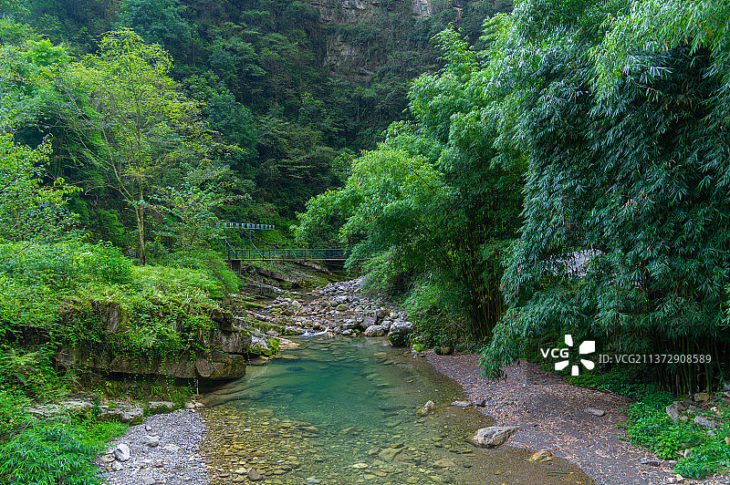 湖北宜昌三峡竹海夏日风光图片素材