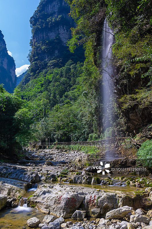 湖北宜昌三峡竹海夏日风光图片素材
