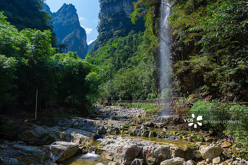 湖北宜昌三峡竹海夏日风光图片素材