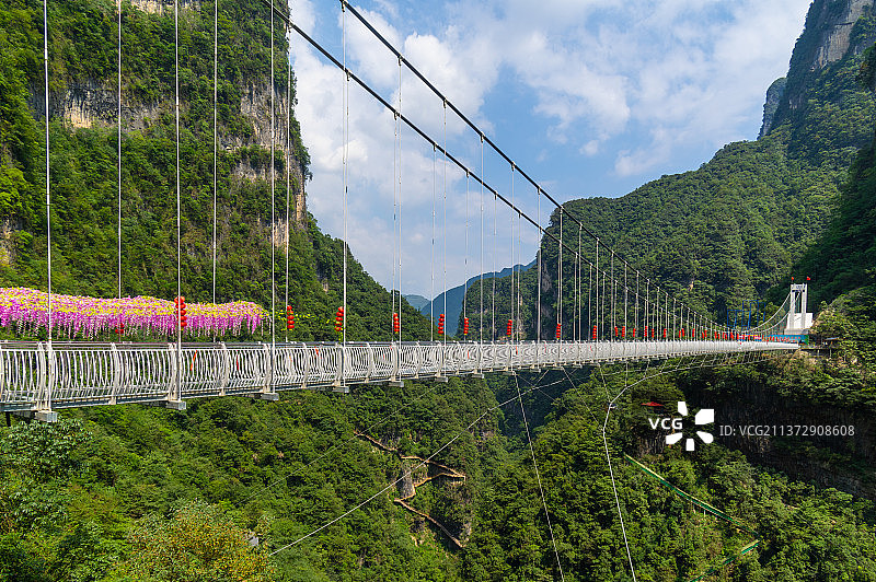 湖北宜昌三峡竹海夏日风光图片素材