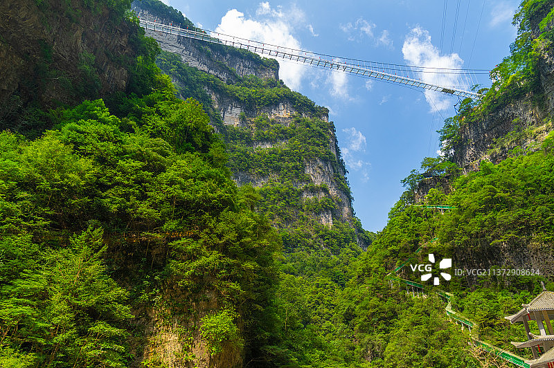 湖北宜昌三峡竹海夏日风光图片素材