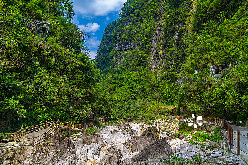 湖北宜昌三峡竹海夏日风光图片素材