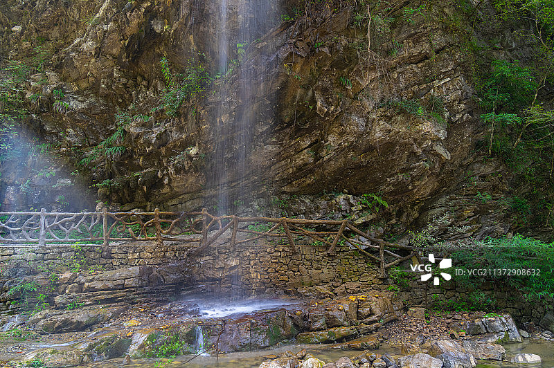 湖北宜昌三峡竹海夏日风光图片素材