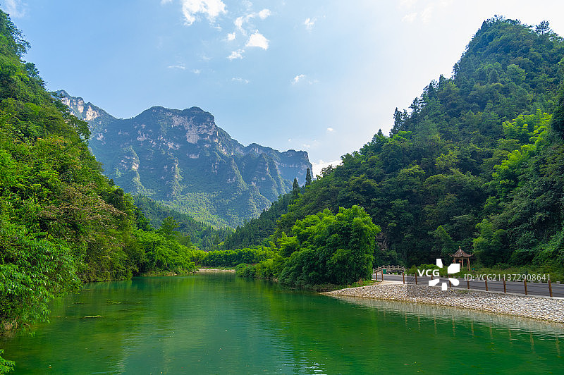 湖北宜昌三峡竹海夏日风光图片素材
