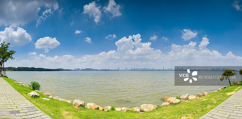 湖北武汉东湖风景区夏日风光图片素材