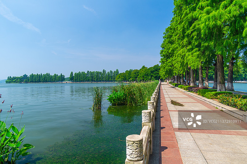 湖北武汉东湖风景区夏日风光图片素材