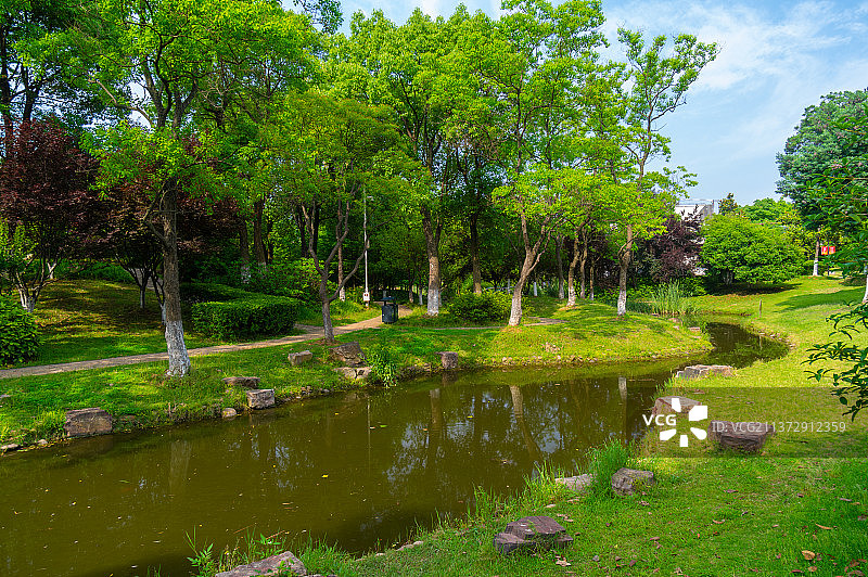 湖北武汉黄鹤楼森林公园春季风光图片素材