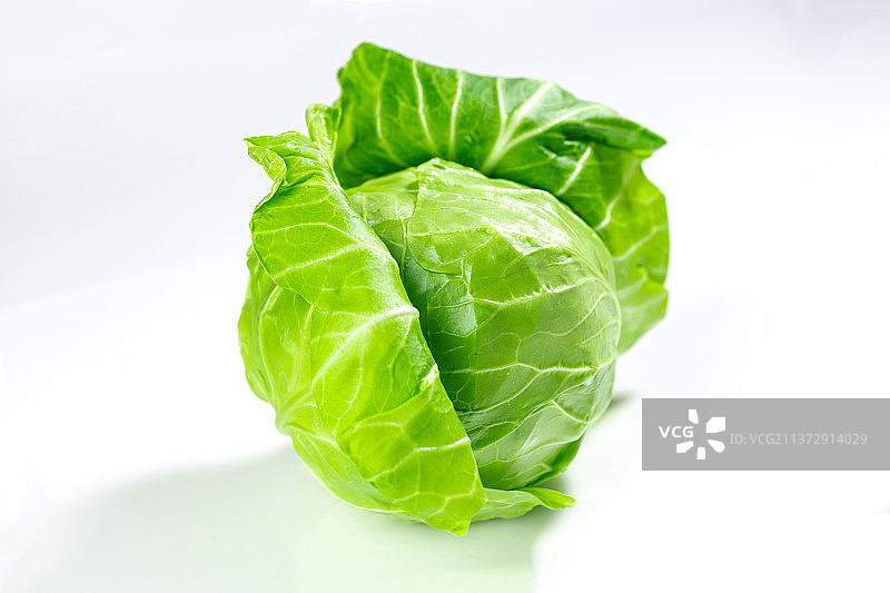 圆白菜影棚拍摄特写蔬菜白色背景图片素材