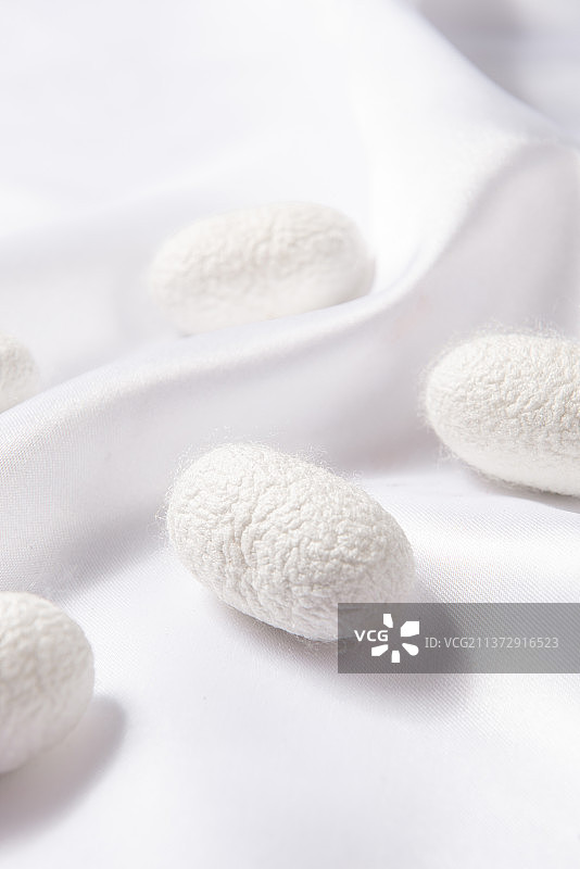 丝绸上的天然蚕茧蚕丝图片素材