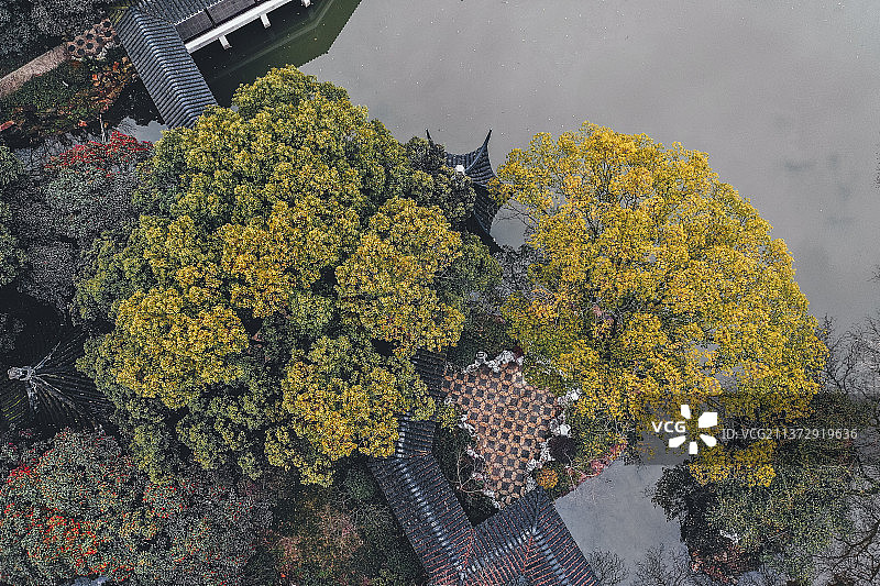 亭林园+江苏省苏州市昆山市玉山镇亭林园图片素材