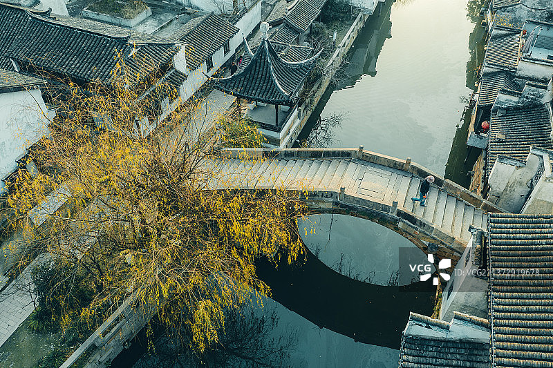 桥头黄柳+江苏省苏州市太仓市沙溪古镇图片素材