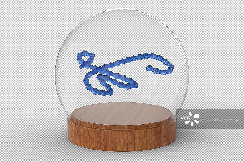 3D玻璃罩内的病菌图片素材