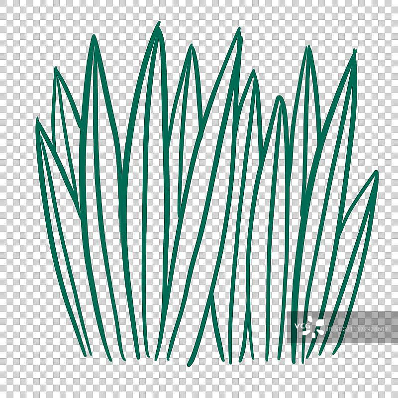 绿色植物图片素材