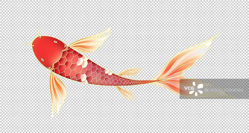 红色锦鲤，卡通鲤鱼免扣素材图片素材