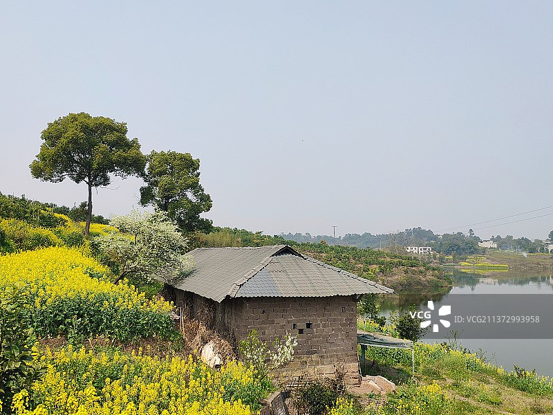 玉龙湖畔春色图片素材