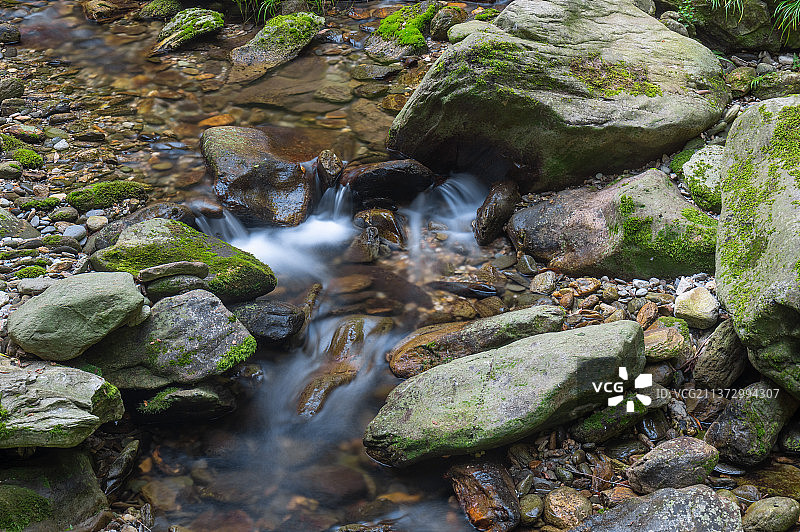 湖北武当山夏日迷人风光图片素材