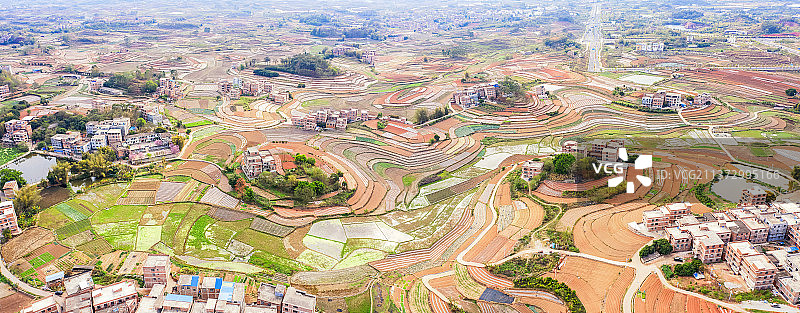 广西邕宁春种田园多彩如画图片素材