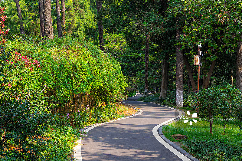 武汉东湖磨山植物园夏日风光图片素材