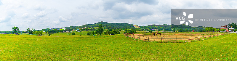 湖北武汉木兰草原风景区初夏风光图片素材