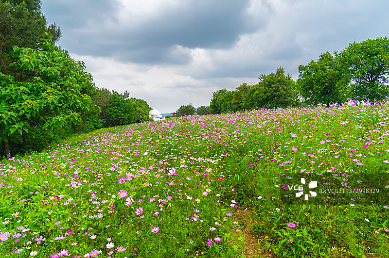湖北武汉木兰草原风景区初夏风光图片素材