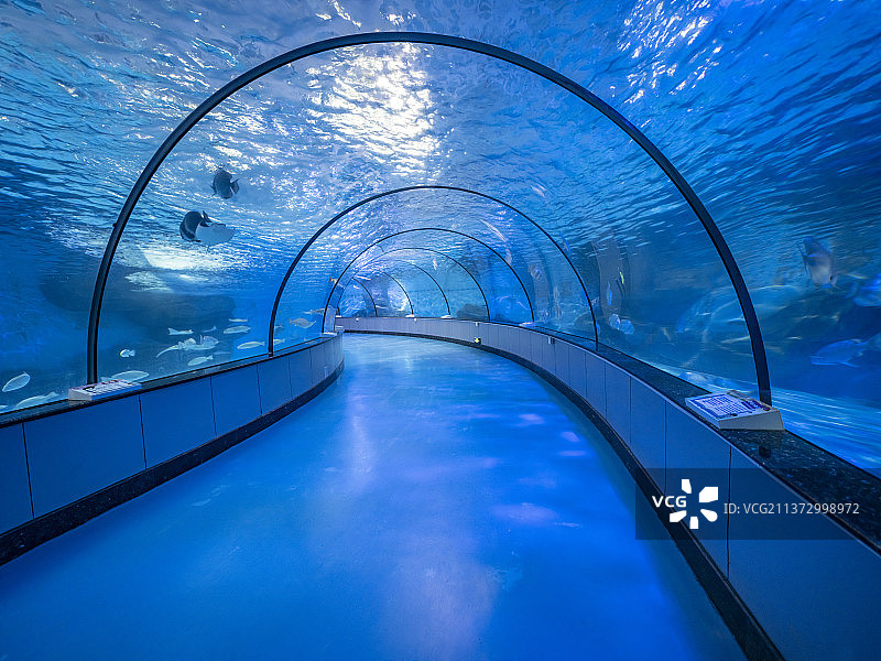 中国山东泉城海洋极地世界海底隧道图片素材