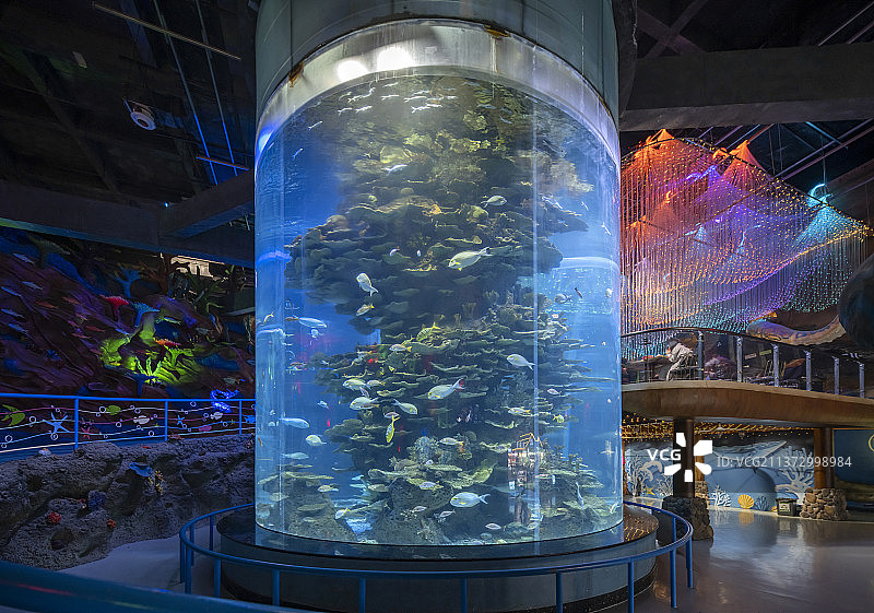 中国山东泉城海洋极地世界图片素材