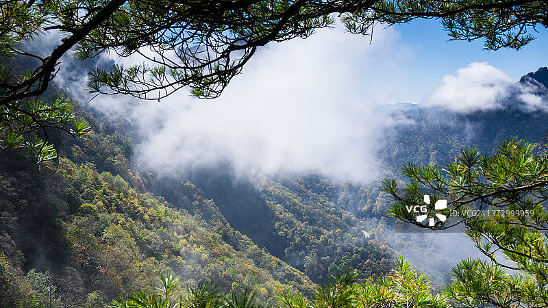 湖北神农架国家地质公园风景区初秋风光图片素材