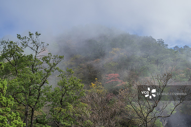 湖北神农架国家地质公园风景区初秋风光图片素材