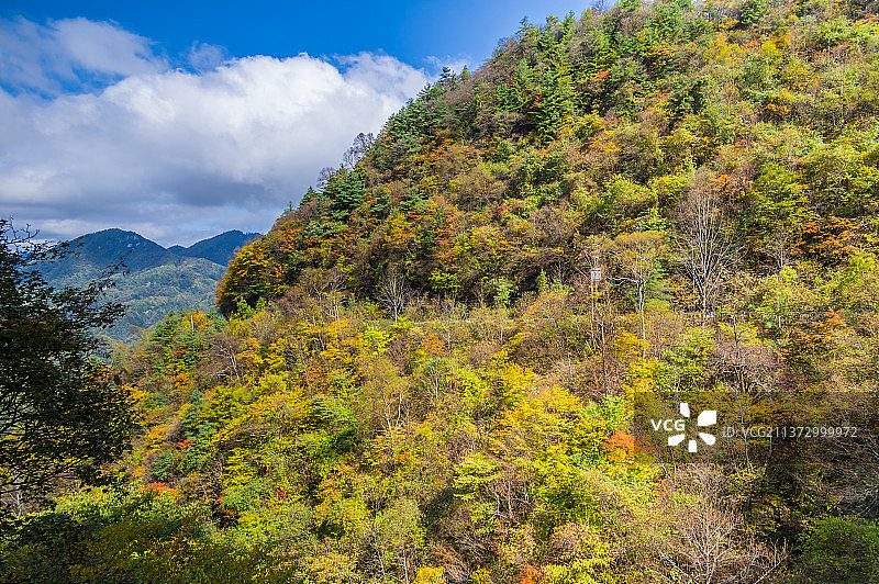 湖北神农架国家地质公园风景区初秋风光图片素材