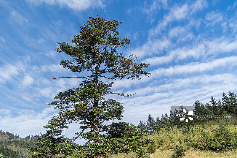 湖北神农架国家地质公园风景区初秋风光图片素材