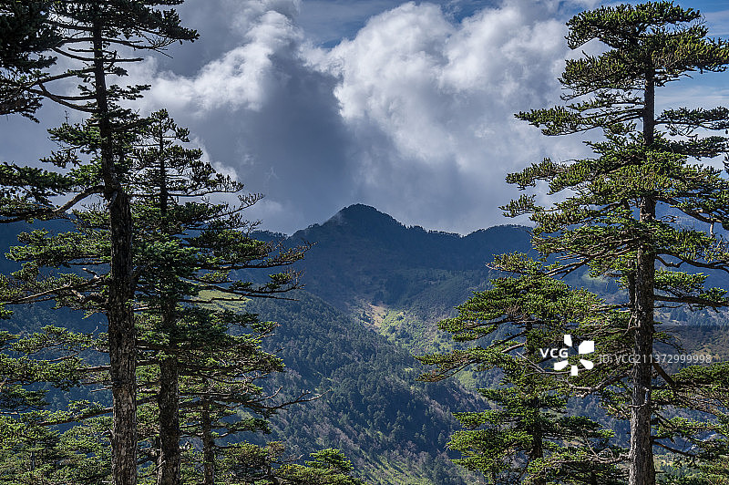 湖北神农架国家地质公园风景区初秋风光图片素材