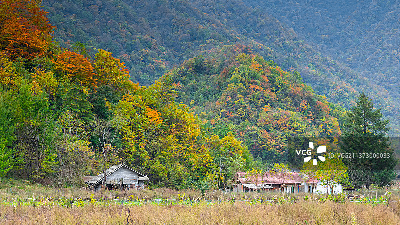 湖北神农架国家地质公园风景区初秋风光图片素材